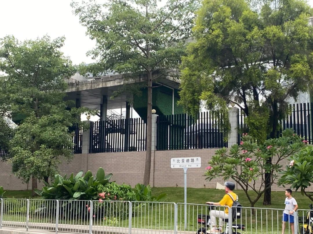 Image 5