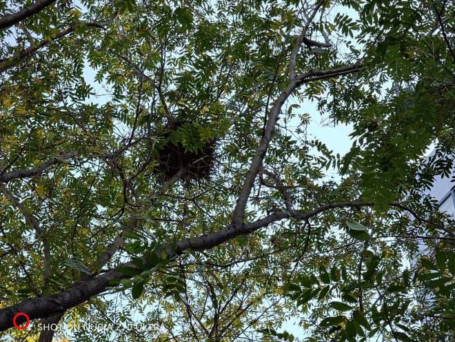 Image 84