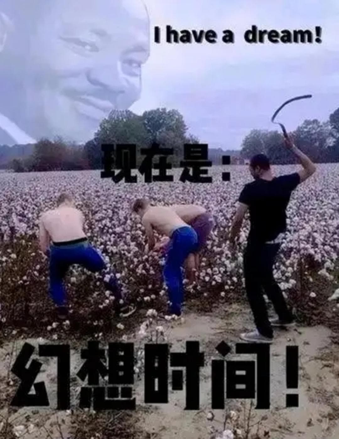 Image 37