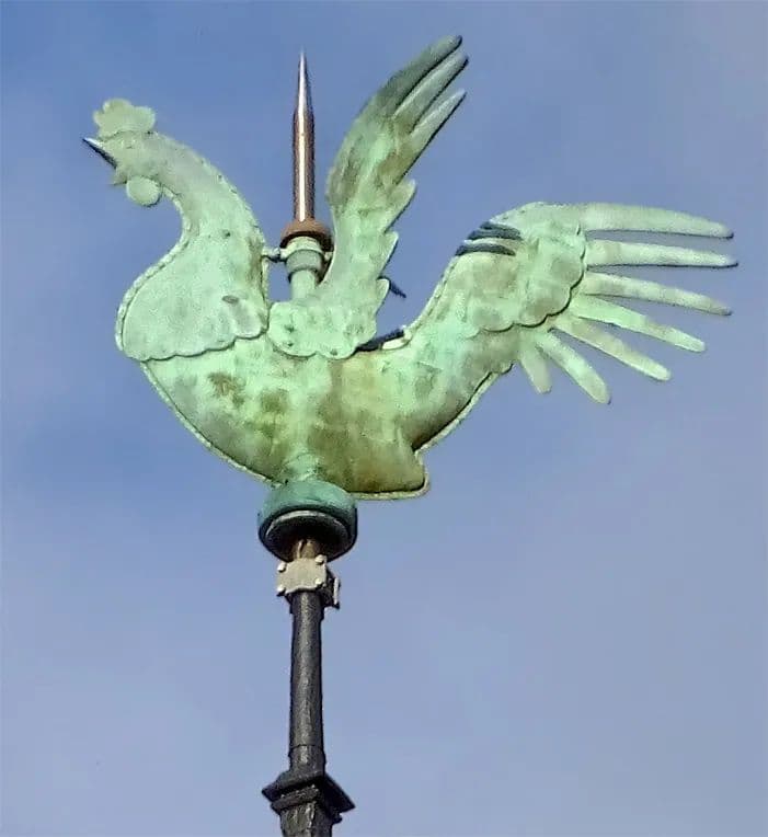 Image 49