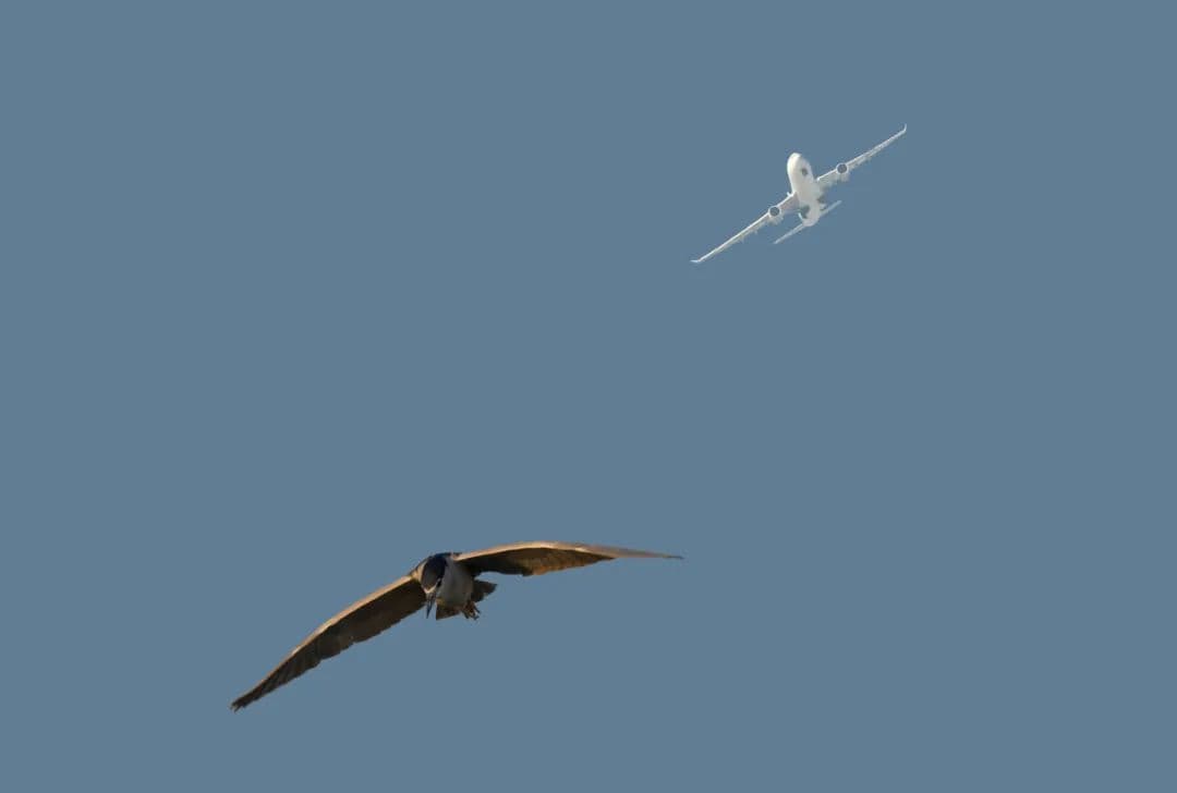 Image 32