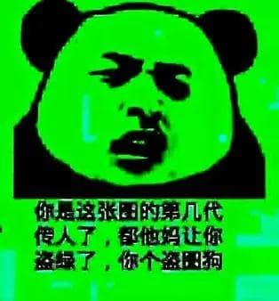 Image 33