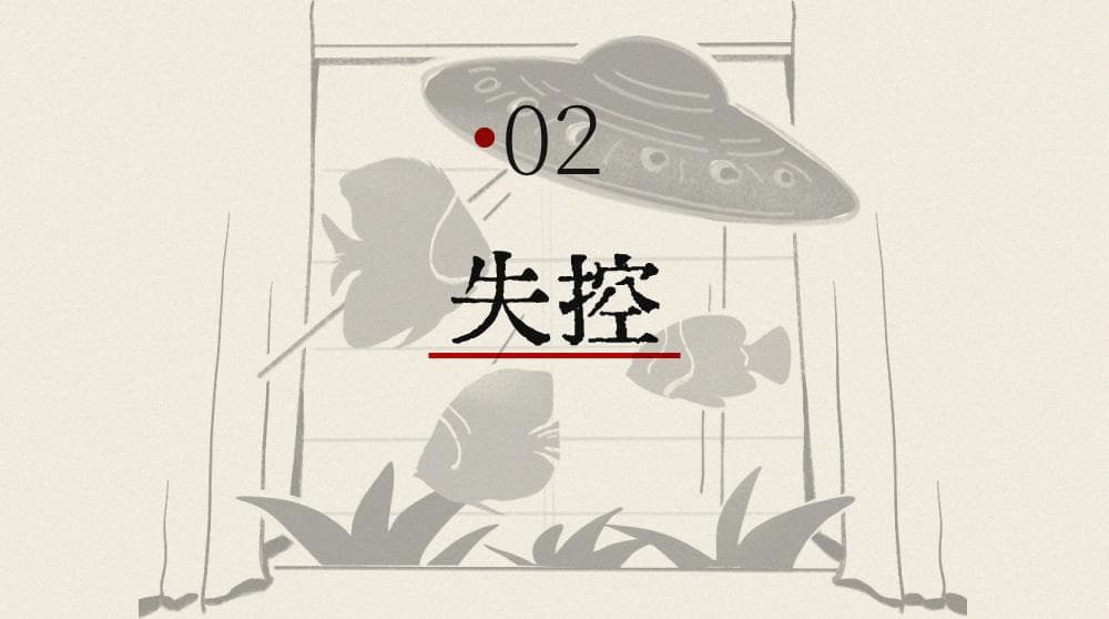 Image 32